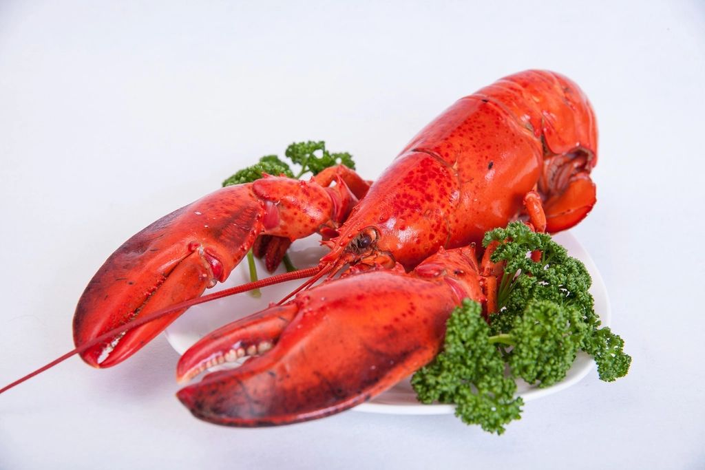 A seafood dish plated and ready to serve