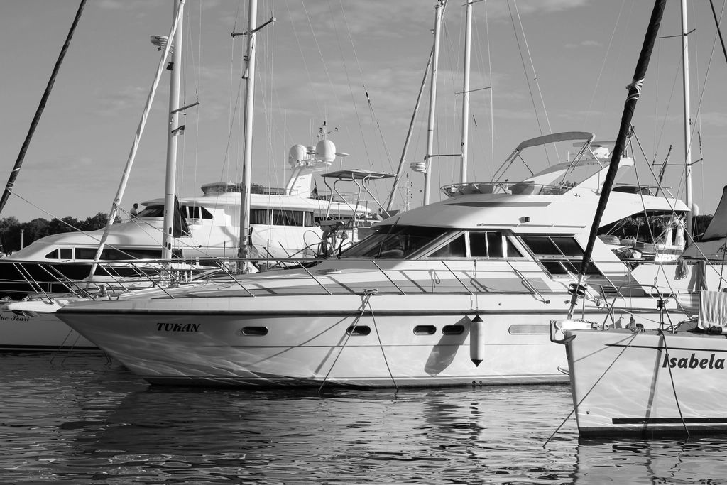 Boats moored at the harbour